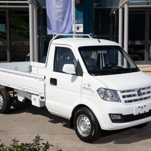 Foton Auto Italia by Reduzzi Motor - Noleggio o Acquisto di Veicoli Commerciali: Qual è la Soluzione Migliore?